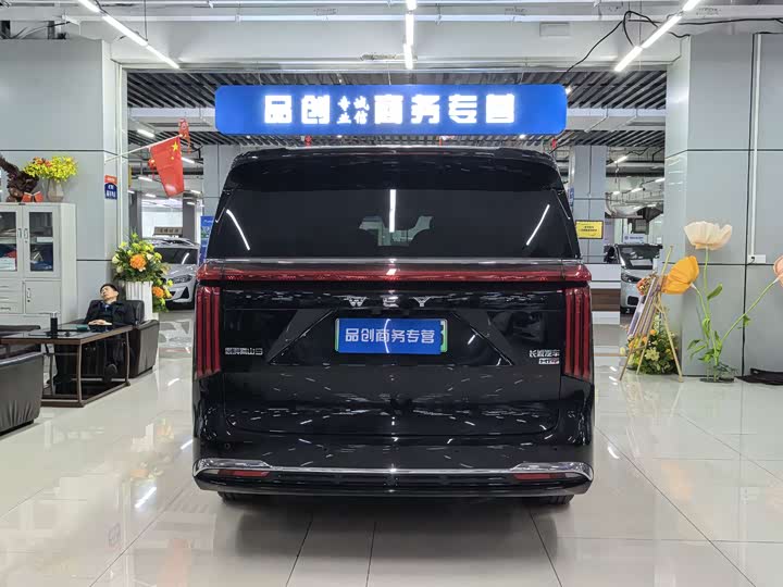 Фото 8 - Wey Gaoshan