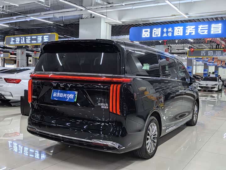 Фото 9 - Wey Gaoshan