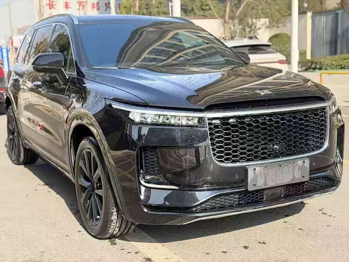 Фото 3 - LiXiang One