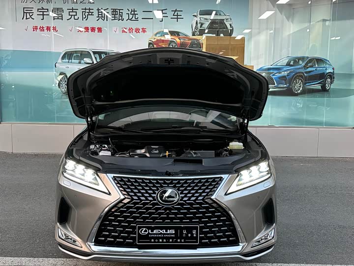 Фото 4 - Lexus RX