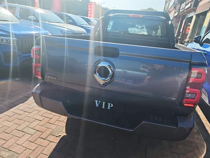 Фото 6 - Great Wall King Kong Poer