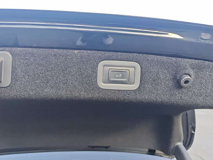 Фото 8 - Voyah Passion