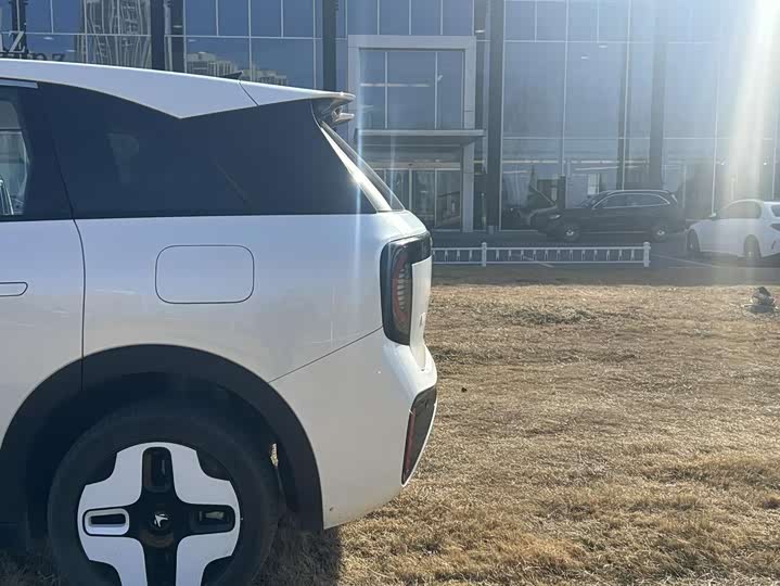 Фото 8 - BAIC Arcfox Kaola