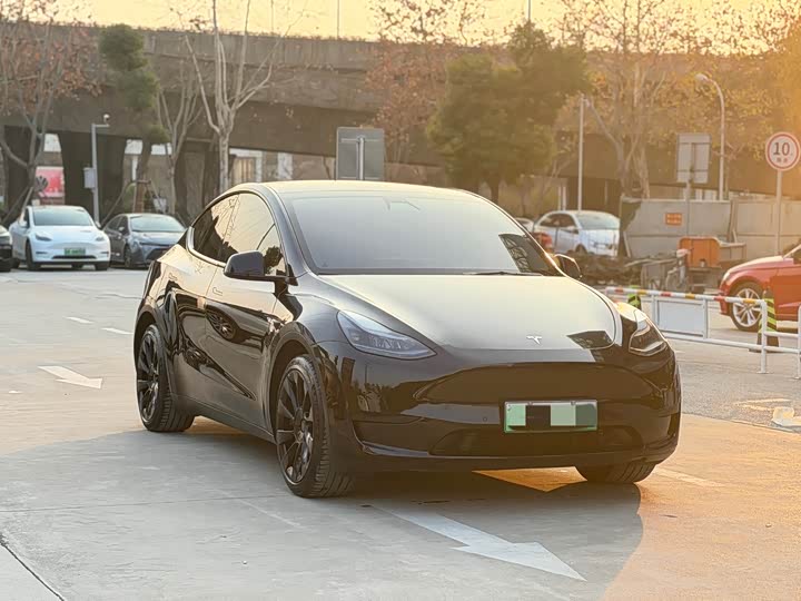 Фото 3 - Tesla Model Y