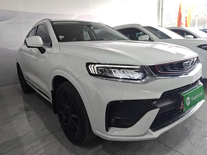 Фото 4 - Geely Tugella