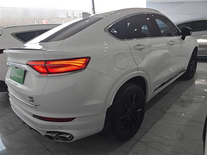 Фото 7 - Geely Tugella