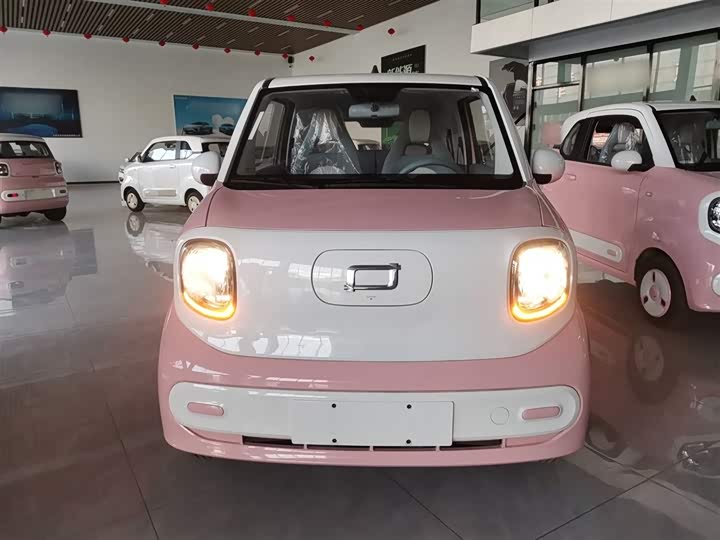 Фото 3 - Bestune Pony