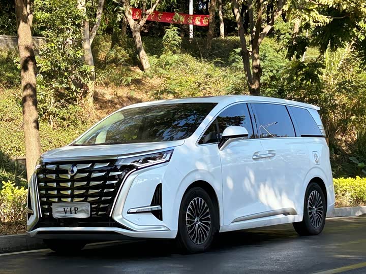 Фото 1 - Denza D9