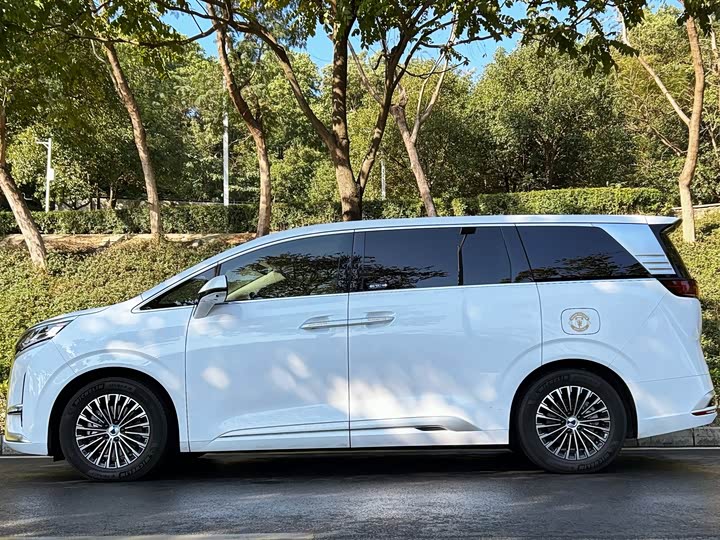 Фото 3 - Denza D9