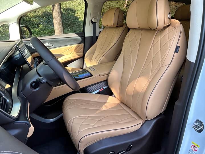 Фото 6 - Denza D9