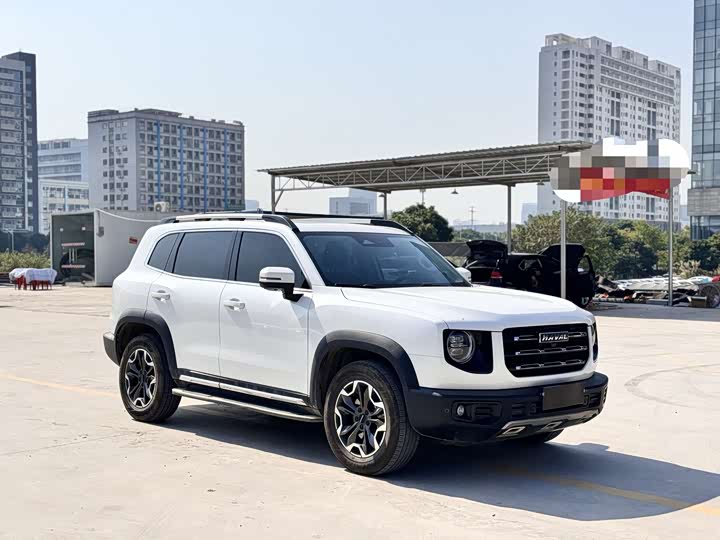 Фото 3 - Haval Dargo