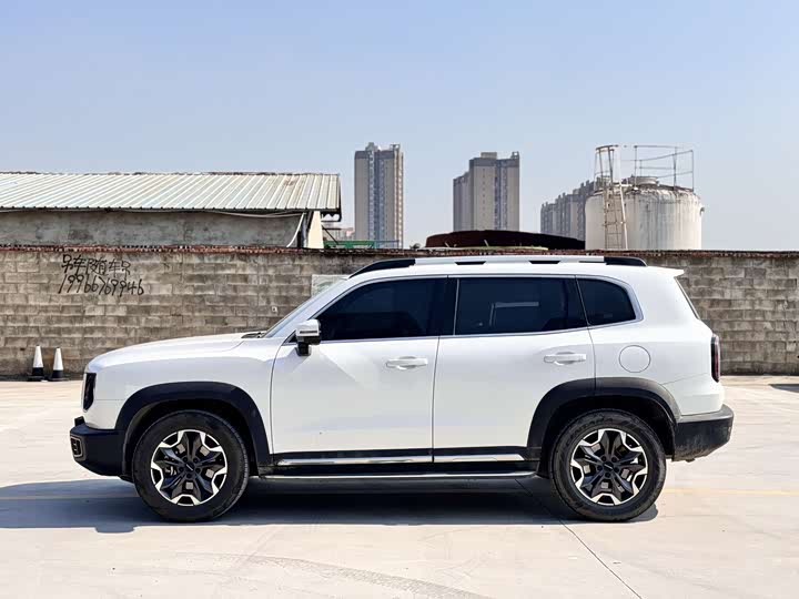 Фото 4 - Haval Dargo