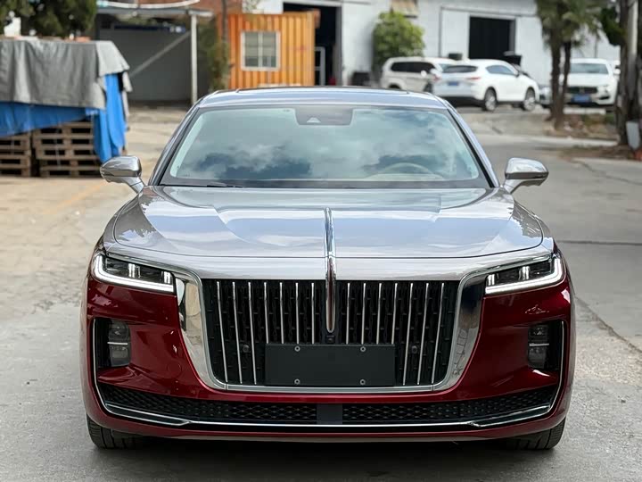 Фото 2 - Hongqi H9