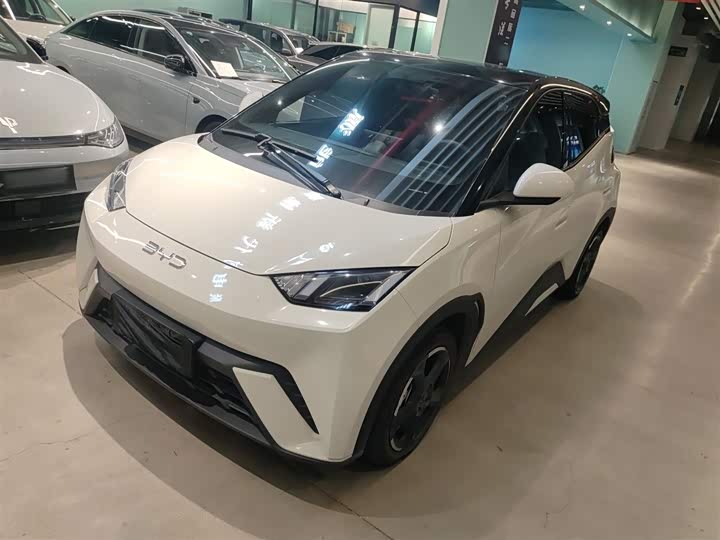 Фото 1 - BYD Seagull