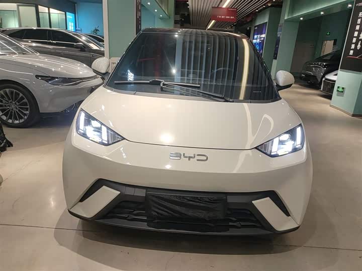 Фото 3 - BYD Seagull