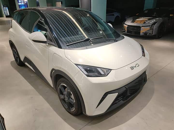 Фото 4 - BYD Seagull