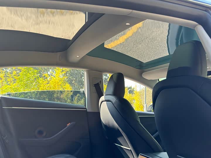 Фото 8 - Tesla Model 3