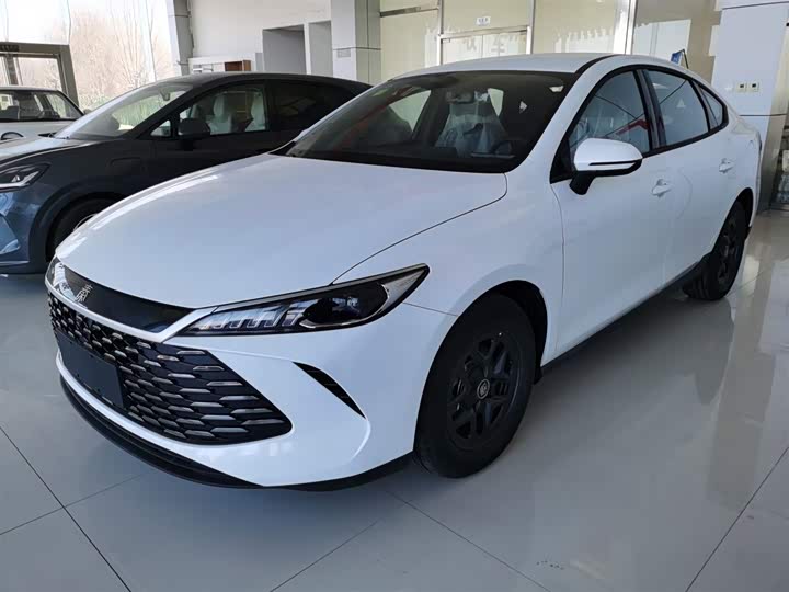 Фото 2 - BYD Qin Plus