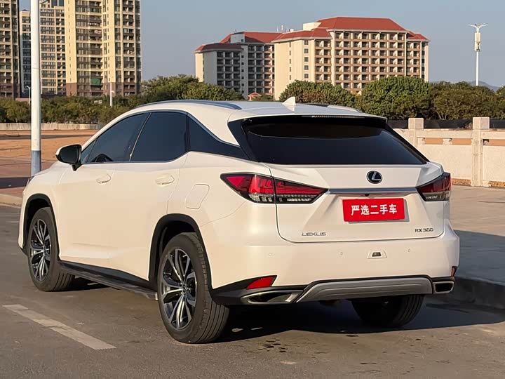 Фото 7 - Lexus RX
