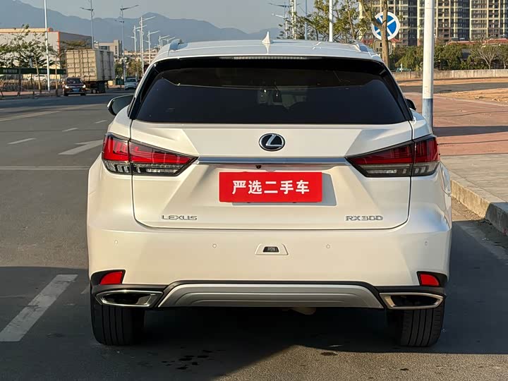 Фото 8 - Lexus RX