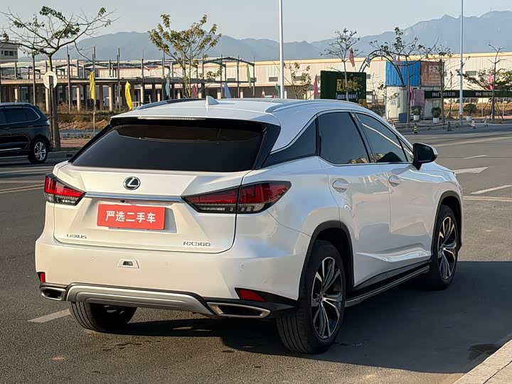 Фото 9 - Lexus RX