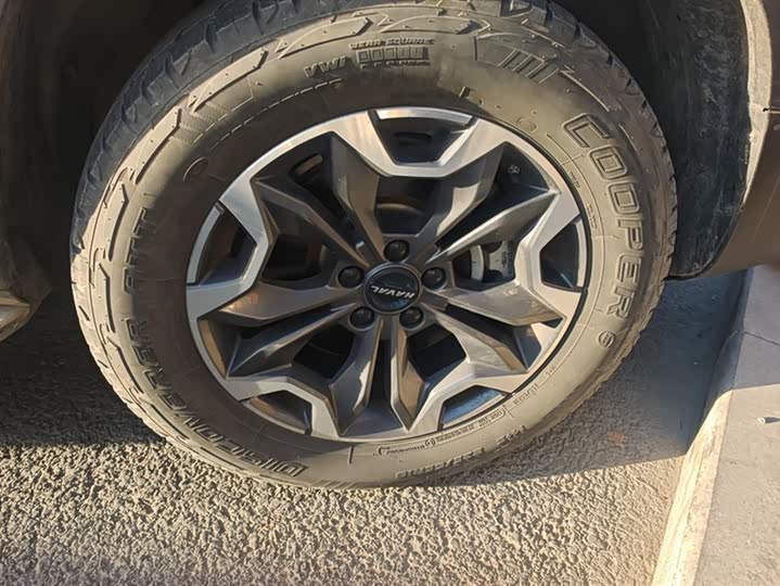 Фото 6 - Haval Dargo