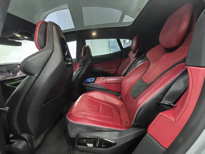 Фото 5 - Lotus Eletre