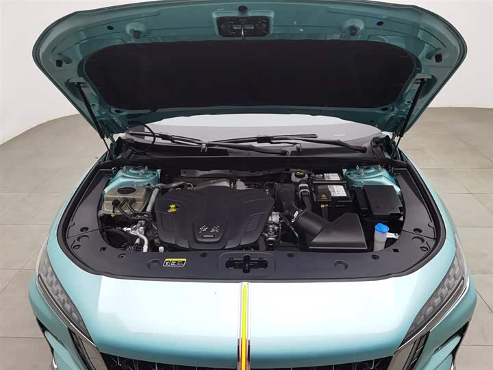 Фото 6 - Hongqi H6