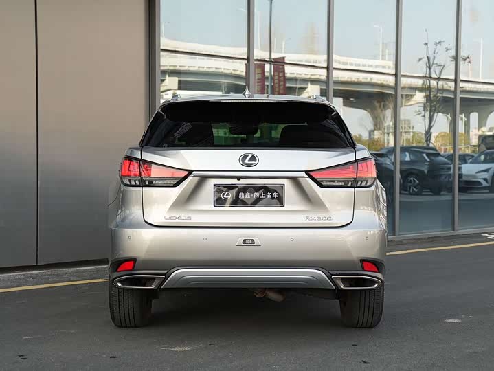Фото 5 - Lexus RX