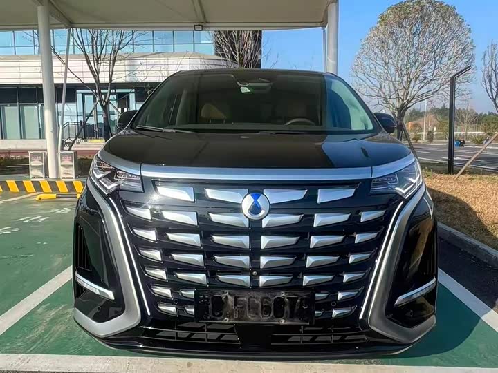 Фото 1 - Denza D9