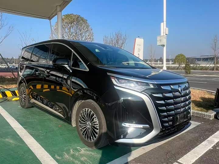 Фото 2 - Denza D9