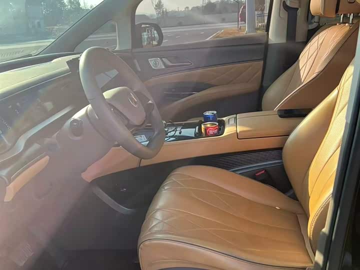 Фото 3 - Denza D9