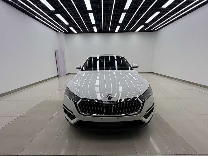 Фото 2 - Skoda Octavia Pro