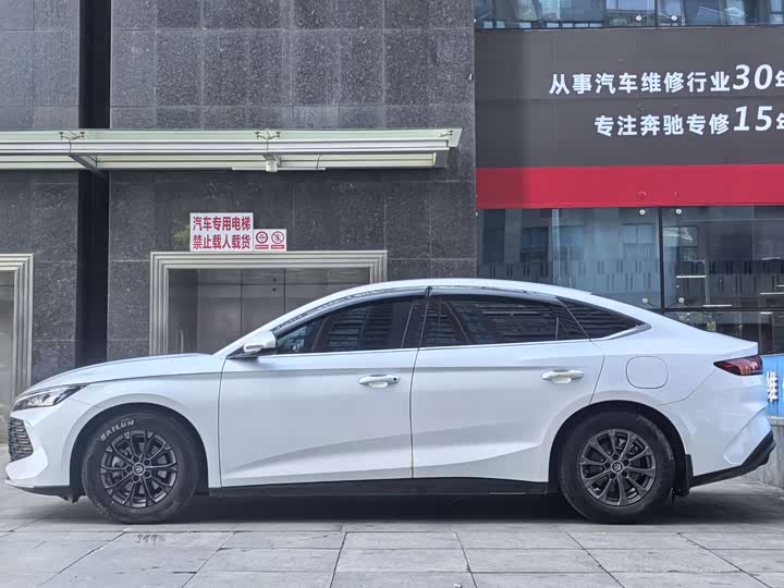 Фото 4 - BYD Qin L