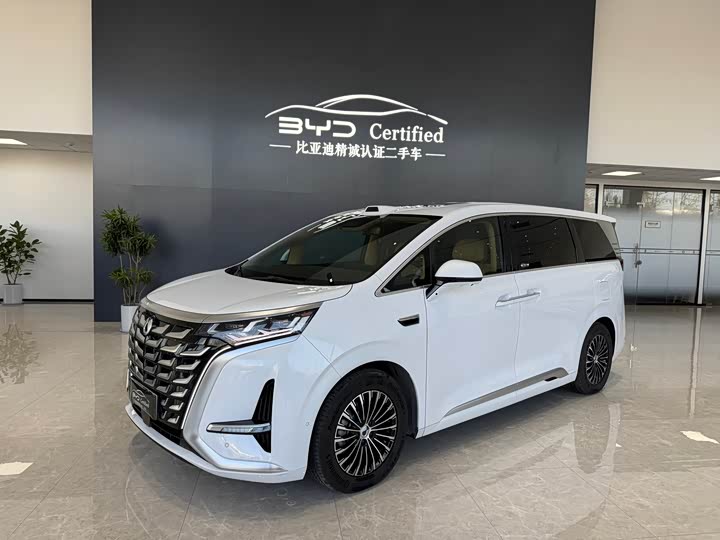 Фото 1 - Denza D9