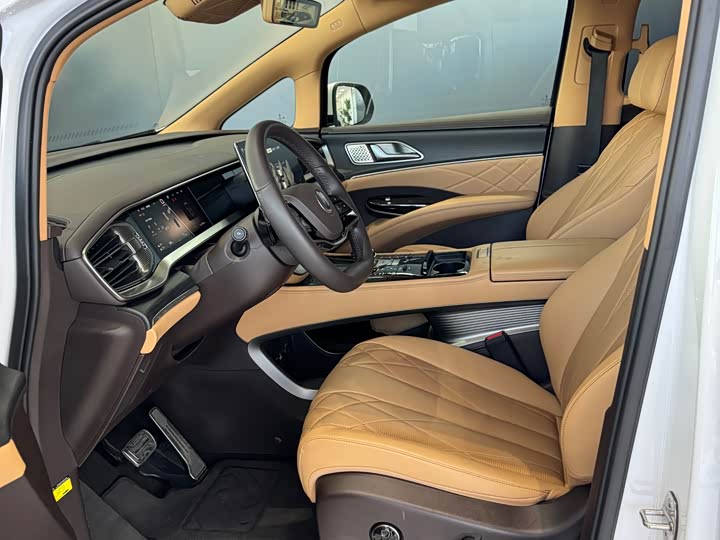 Фото 4 - Denza D9