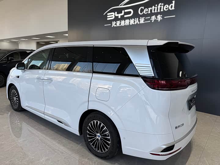 Фото 7 - Denza D9