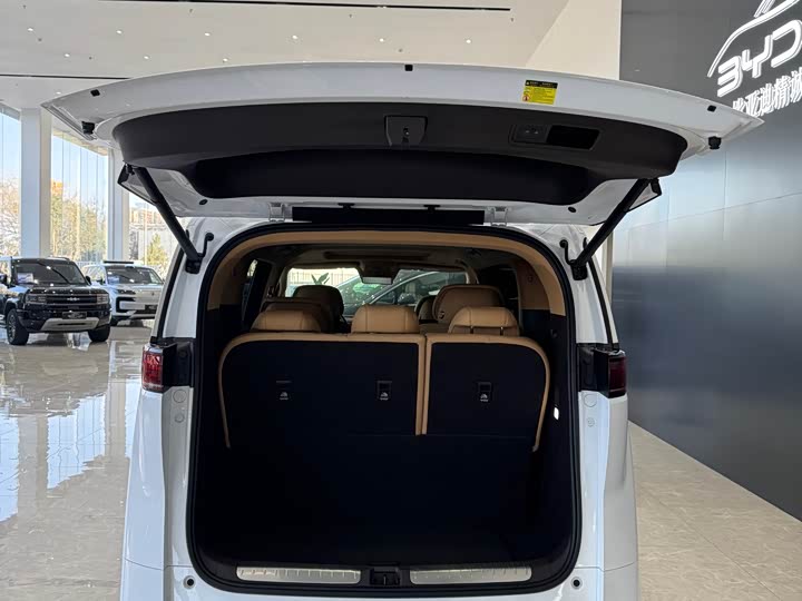 Фото 8 - Denza D9