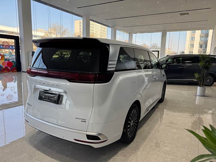 Фото 9 - Denza D9