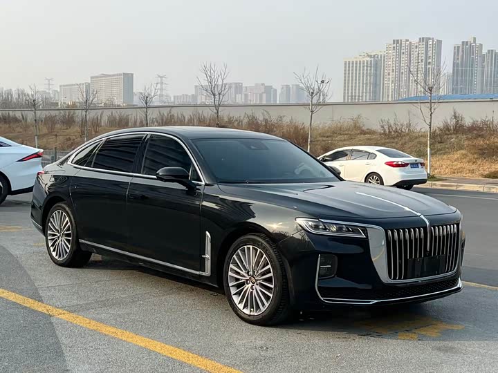 Фото 1 - Hongqi H9