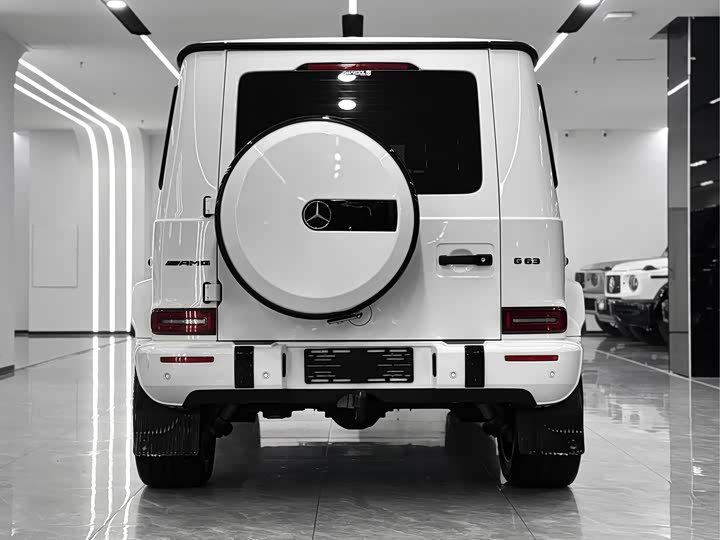 Фото 6 - Mercedes-Benz G-Class AMG