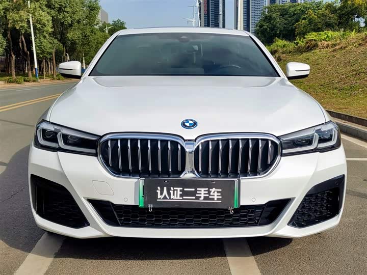 Фото 2 - BMW 5 Series Hybrid