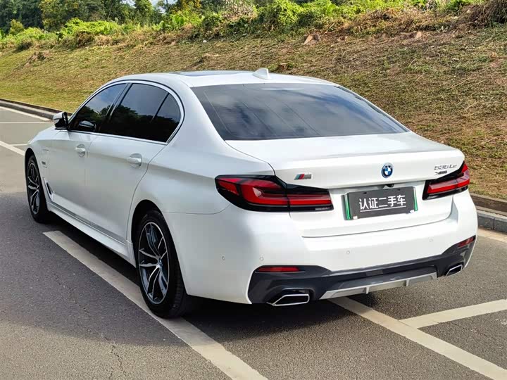 Фото 5 - BMW 5 Series Hybrid