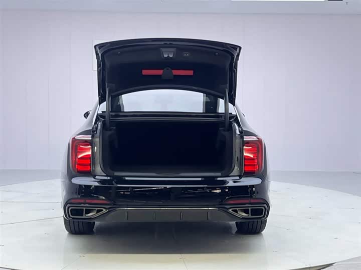 Фото 9 - Hongqi H9