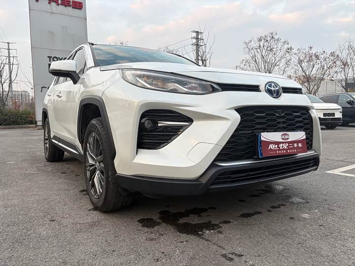 Фото 3 - Toyota Wildlander