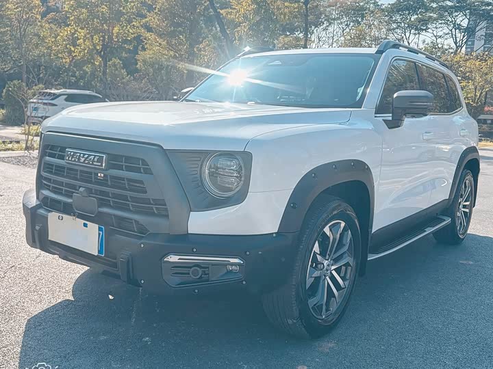 Фото 1 - Haval Dargo