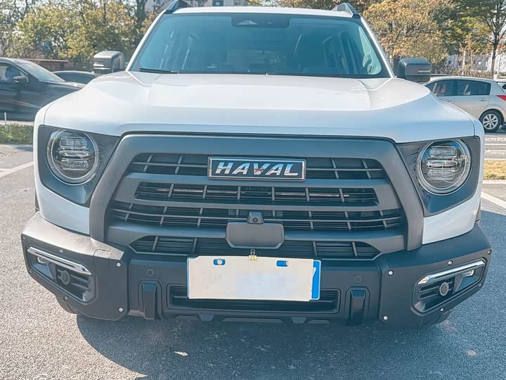 Фото 2 - Haval Dargo