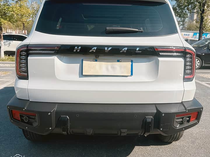 Фото 3 - Haval Dargo