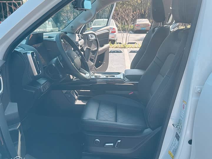 Фото 4 - Haval Dargo