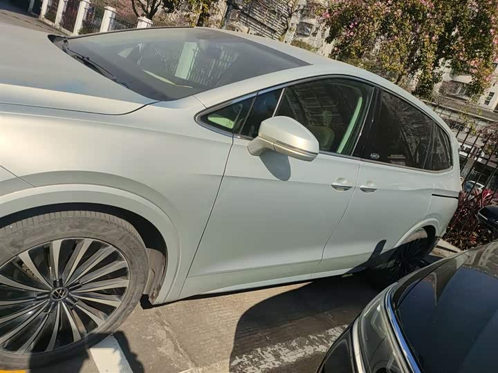 Фото 4 - Volkswagen Viloran